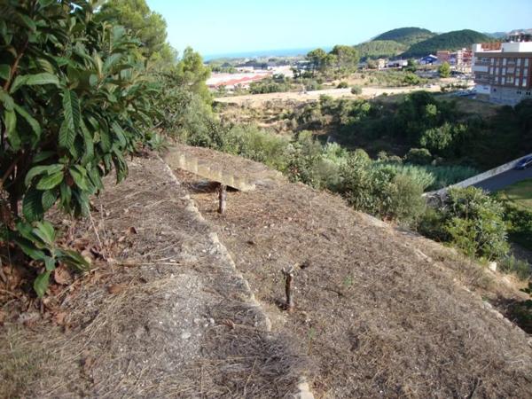 Independent chalet for sale in Calle Ausiàs March, 27, Callosa d'En Sarria
photo 1