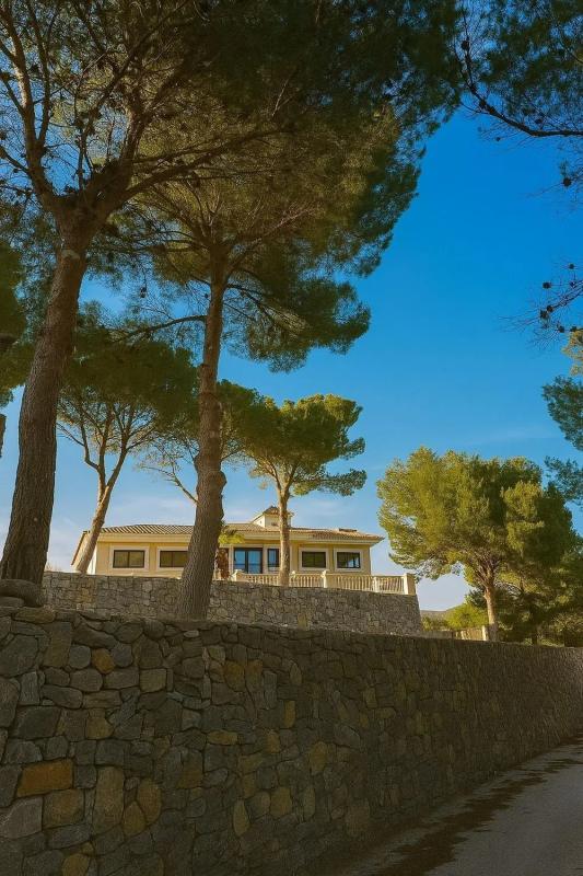 Nowa nieruchomość Caserón en Callosa d'En Sarria w Callosa d'En Sarria photo 2