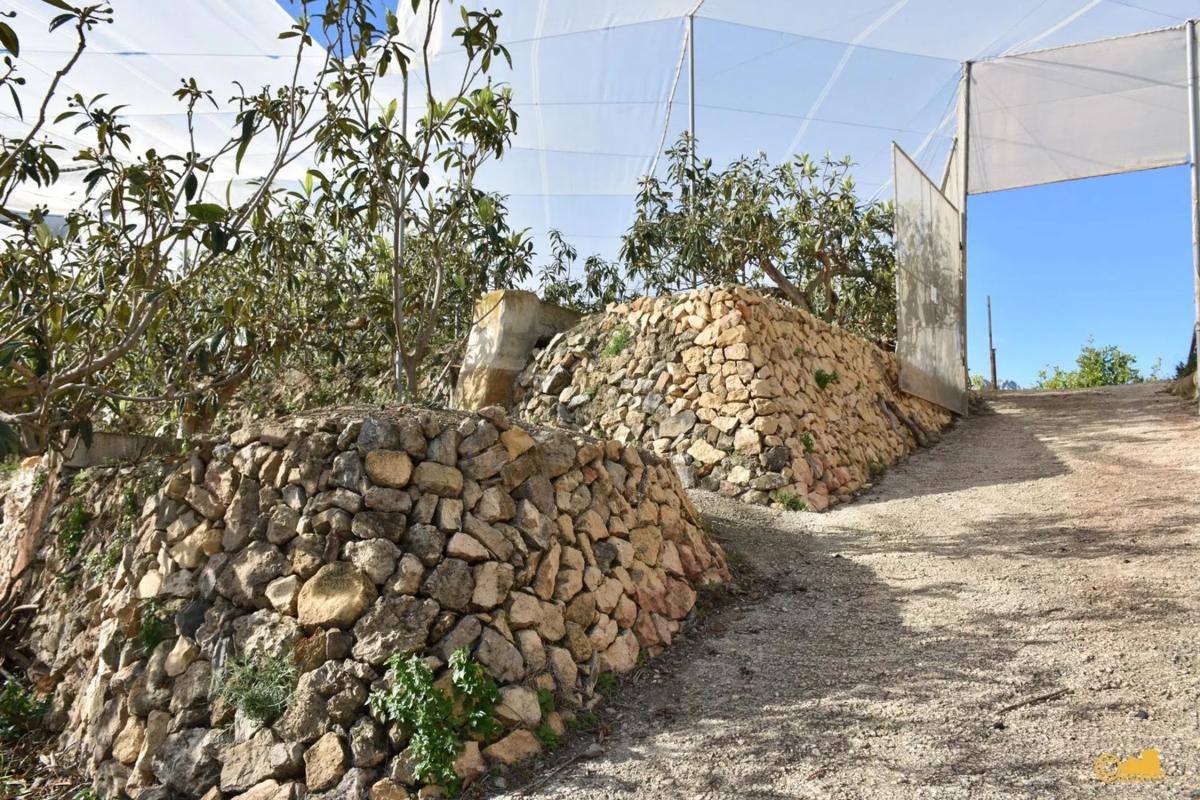 Venta de finca rústica en  Calle del Fondo , Callosa d''En Sarria photo 2