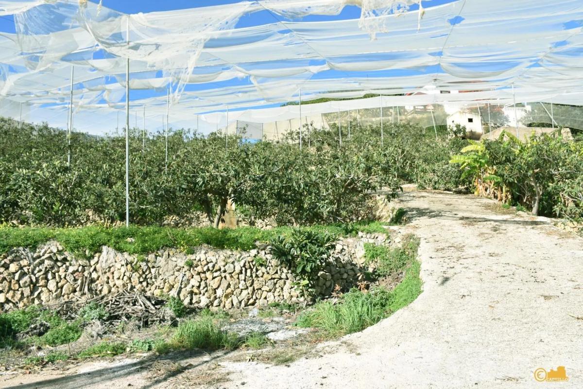 Venta de finca rústica en  Calle del Fondo , Callosa d''En Sarria photo 3
