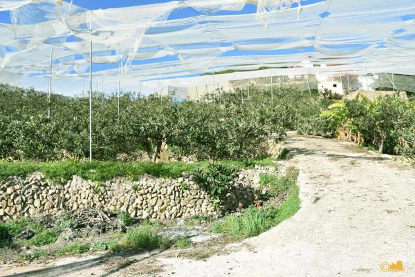 Finca rústica en venta en  Calle del Fondo , Callosa d En Sarria photo 3