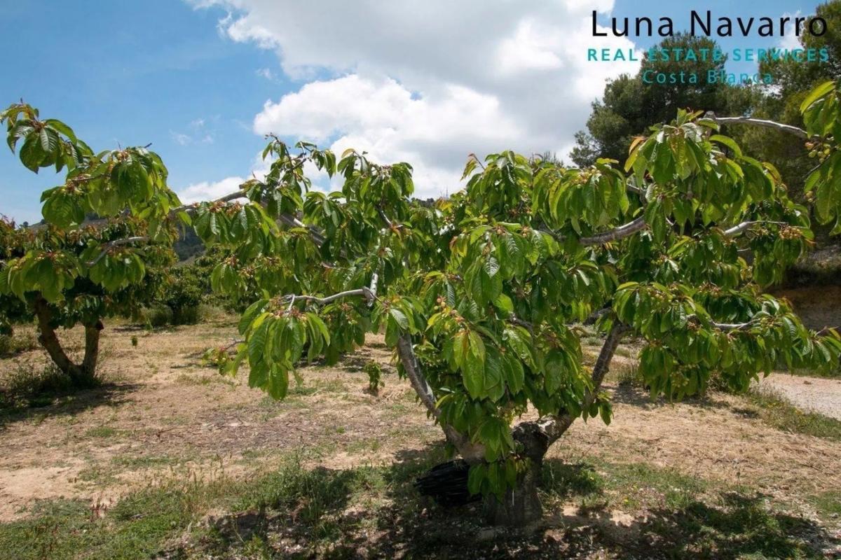 Sale of rural property in  Via sense nom , Confrides photo 2