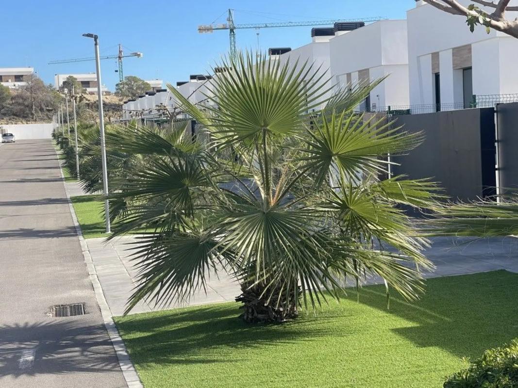 Продажа отдельного шале в Balcón de Finestrat-Terra Marina, Финестрат photo 4
