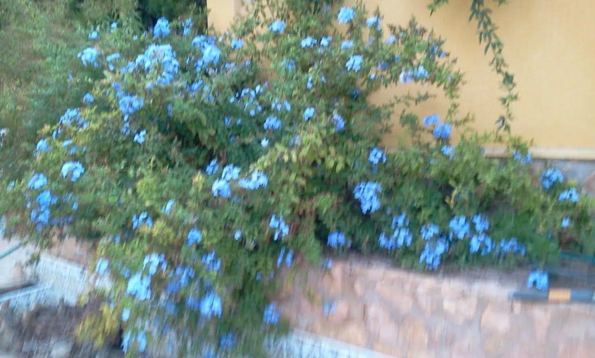 Venta de chalet independiente en Calle de l'Agró, 9, La Nucia
 photo 3