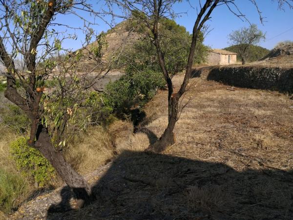 Finca rústica en venta en  Pda. Algoletja, 867 , Polop photo 1