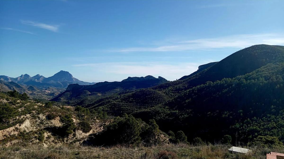 Venta de finca rústica en Partida Bortolons , Relleu photo 3