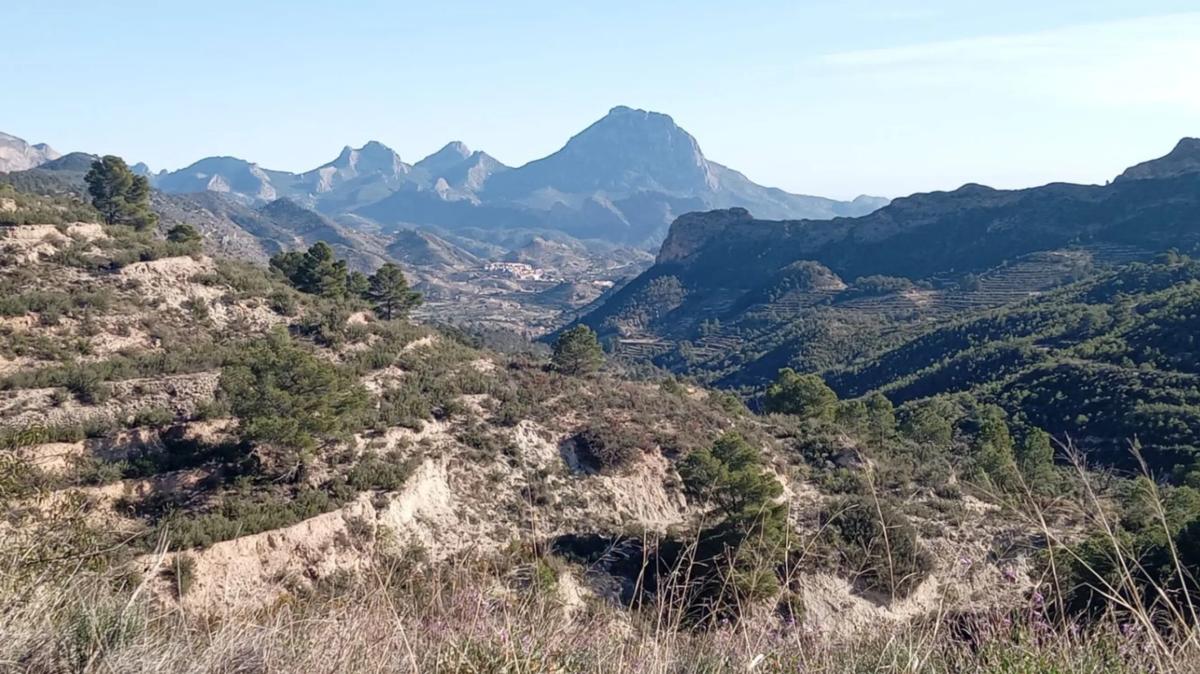 Venta de finca rústica en Partida Bortolons , Relleu photo 4