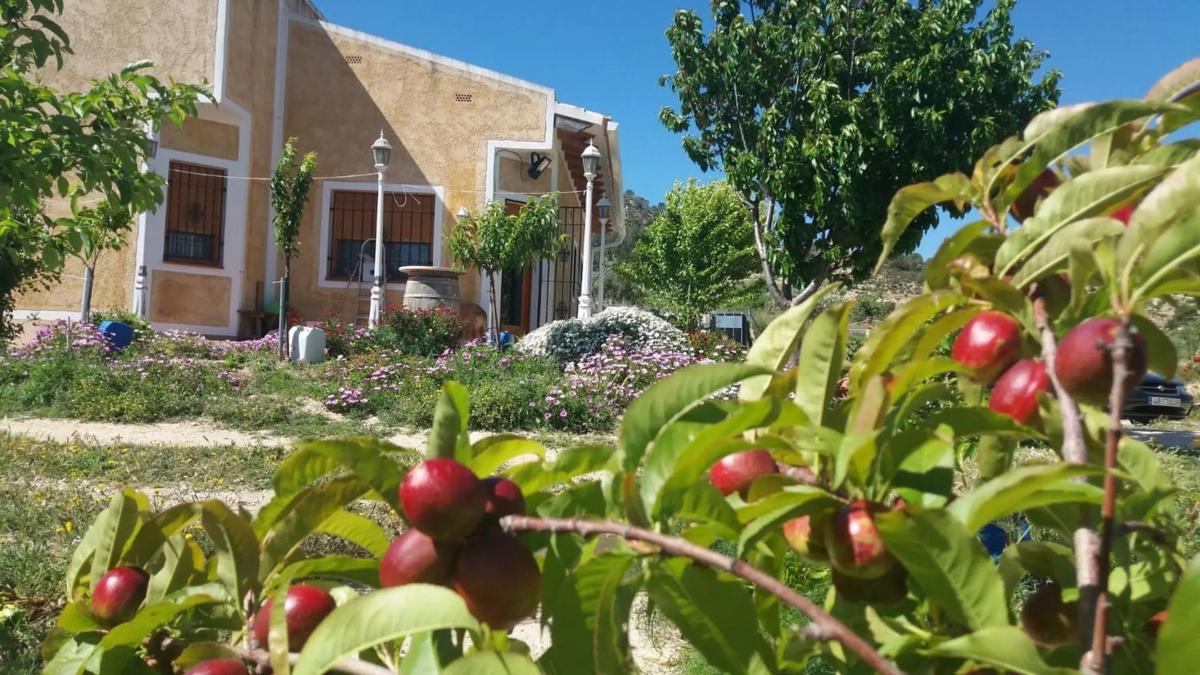 Venta de finca rústica en  Partida les Macaroves, 6 , Relleu photo 3