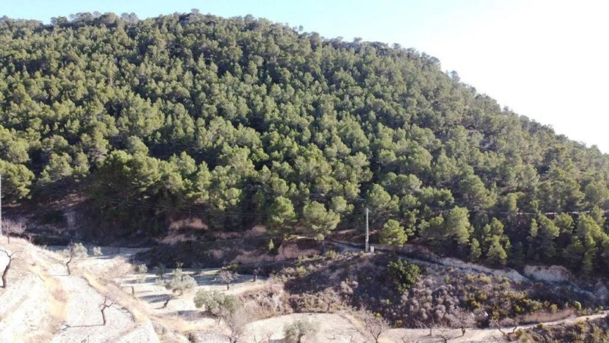 Venta de finca rústica en Relleu s/n , Relleu photo 3