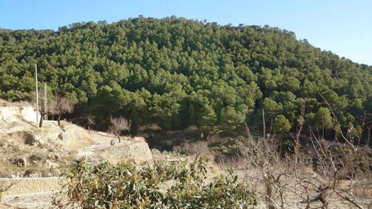 Venta de finca rústica en Relleu s/n , Relleu photo 4
