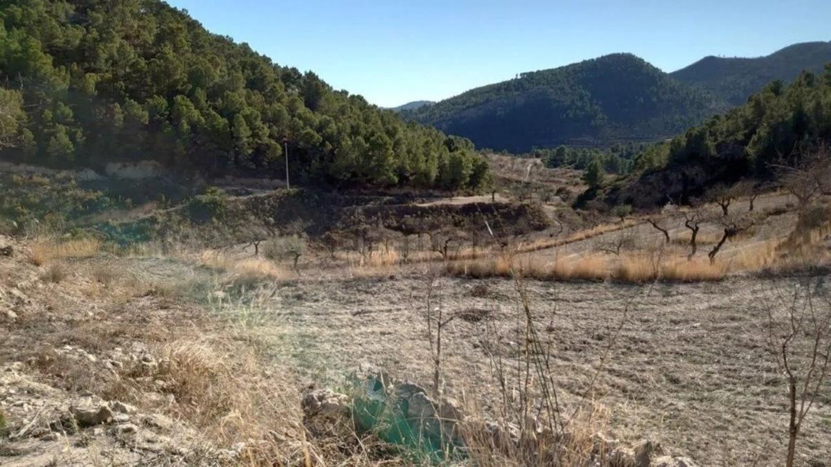 Venta de finca rústica en Relleu s/n , Relleu photo 5