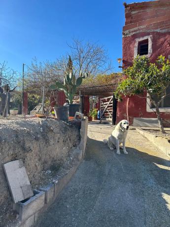 Rustic farm for sale in CV-775, 775 cv , Relleu photo 1