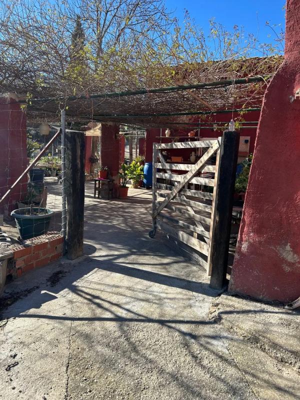 Sale of rural property in  CV-775, 775 cv , Relleu photo 2