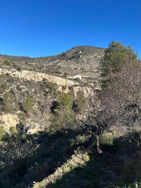 Sale of rural property in  CV-775, 775 cv , Relleu photo 5