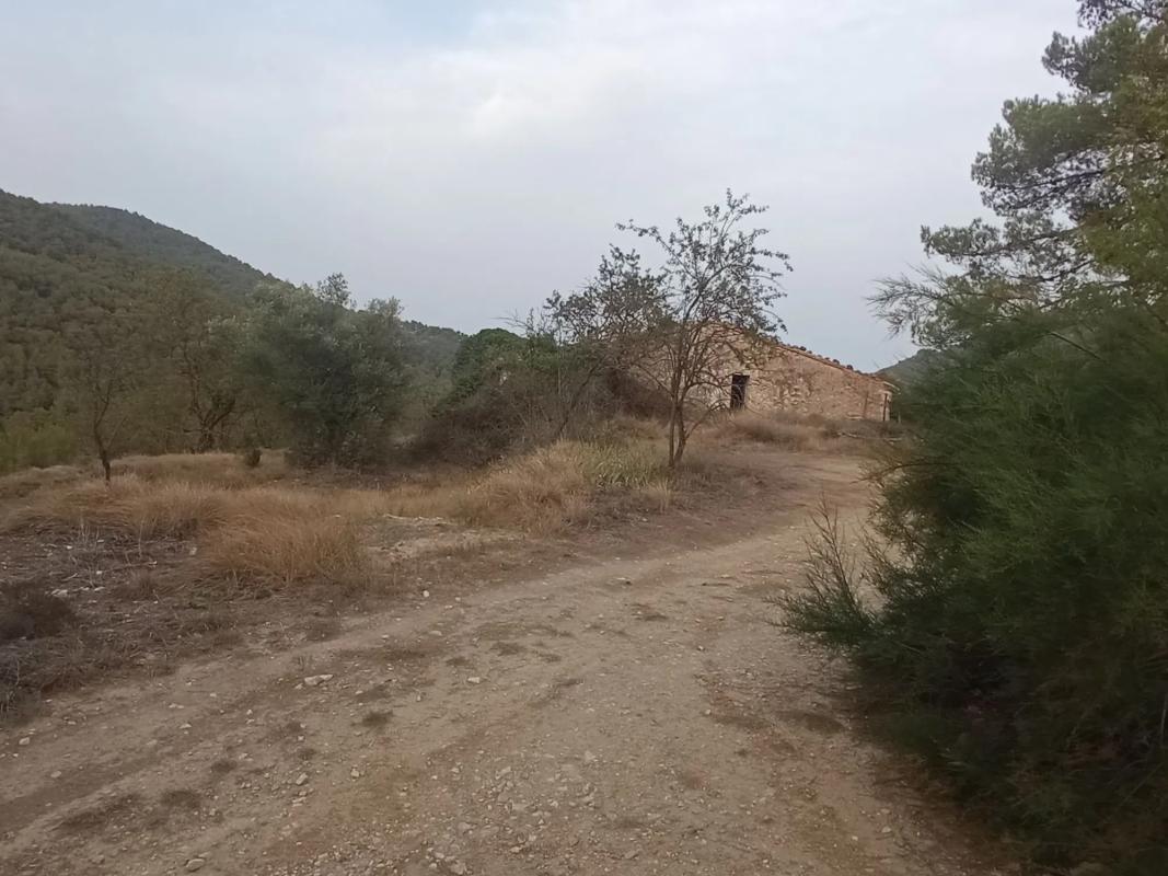 Новостройка Masía en Partida Urques, 4 в Рельеу photo 1