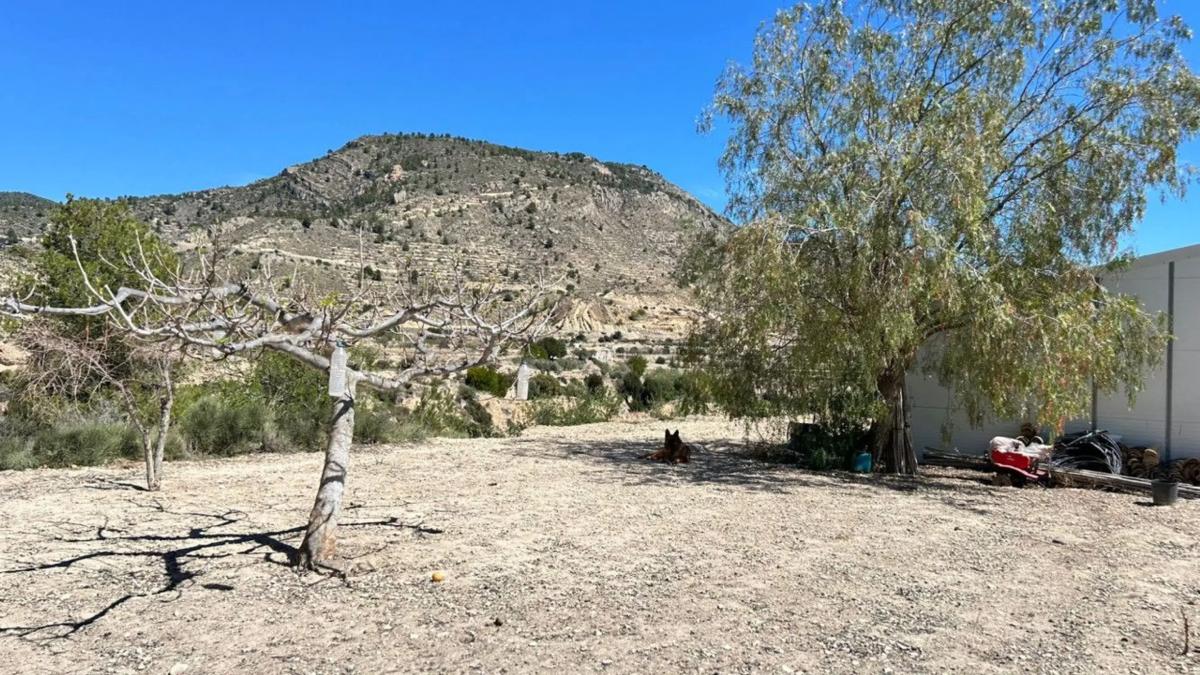 Sale of rural property in  Relleu , Relleu photo 5