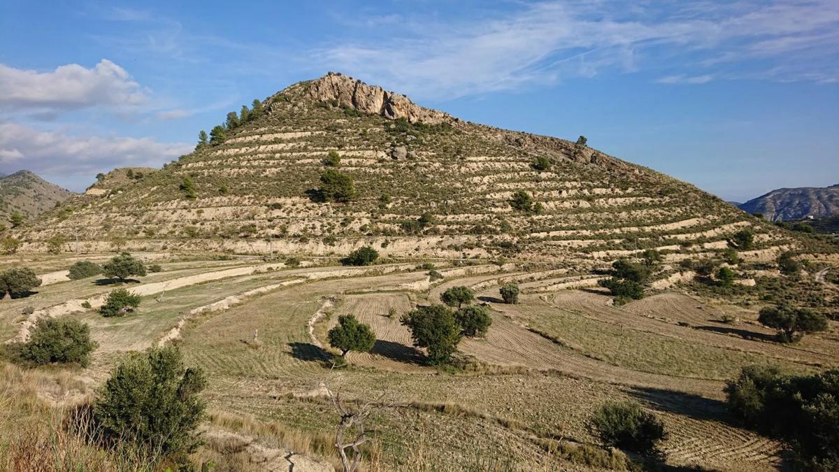 Propiedades en venta y alquiler en España photo 3
