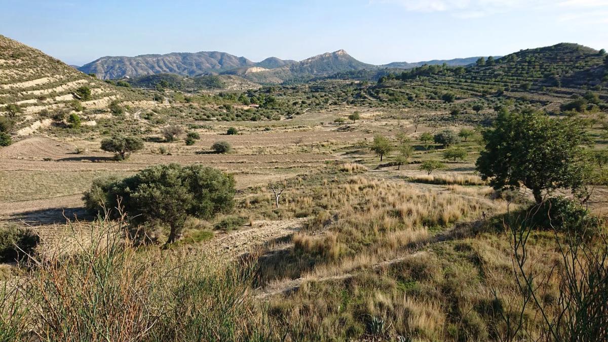 Propiedades en venta y alquiler en España photo 5