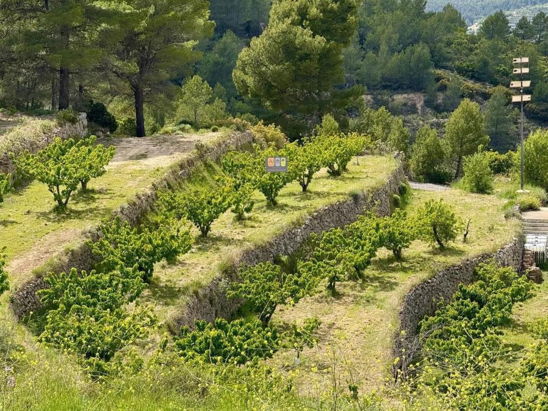 Venta de finca rústica en Sella , Sella photo 1