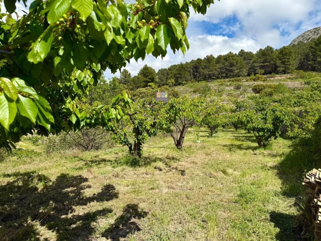 Venta de finca rústica en Sella , Sella photo 4