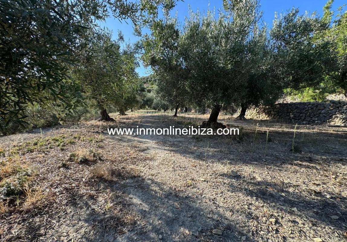 Venta de finca rústica en  Partida Casivanyes , Tarbena photo 4