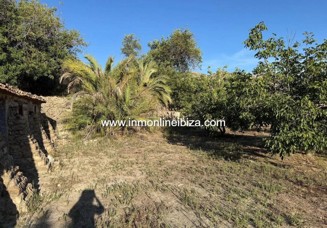 Venta de finca rústica en  Partida Casivanyes , Tarbena photo 5