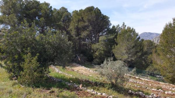 Finca rústica en venta en Partida Sa Foia des Gavatx, 1 , Tarbena thumbnail 1