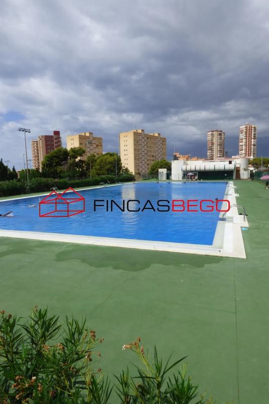 Sale of studio in Avenida de Portugal, 1, Benidorm photo 3