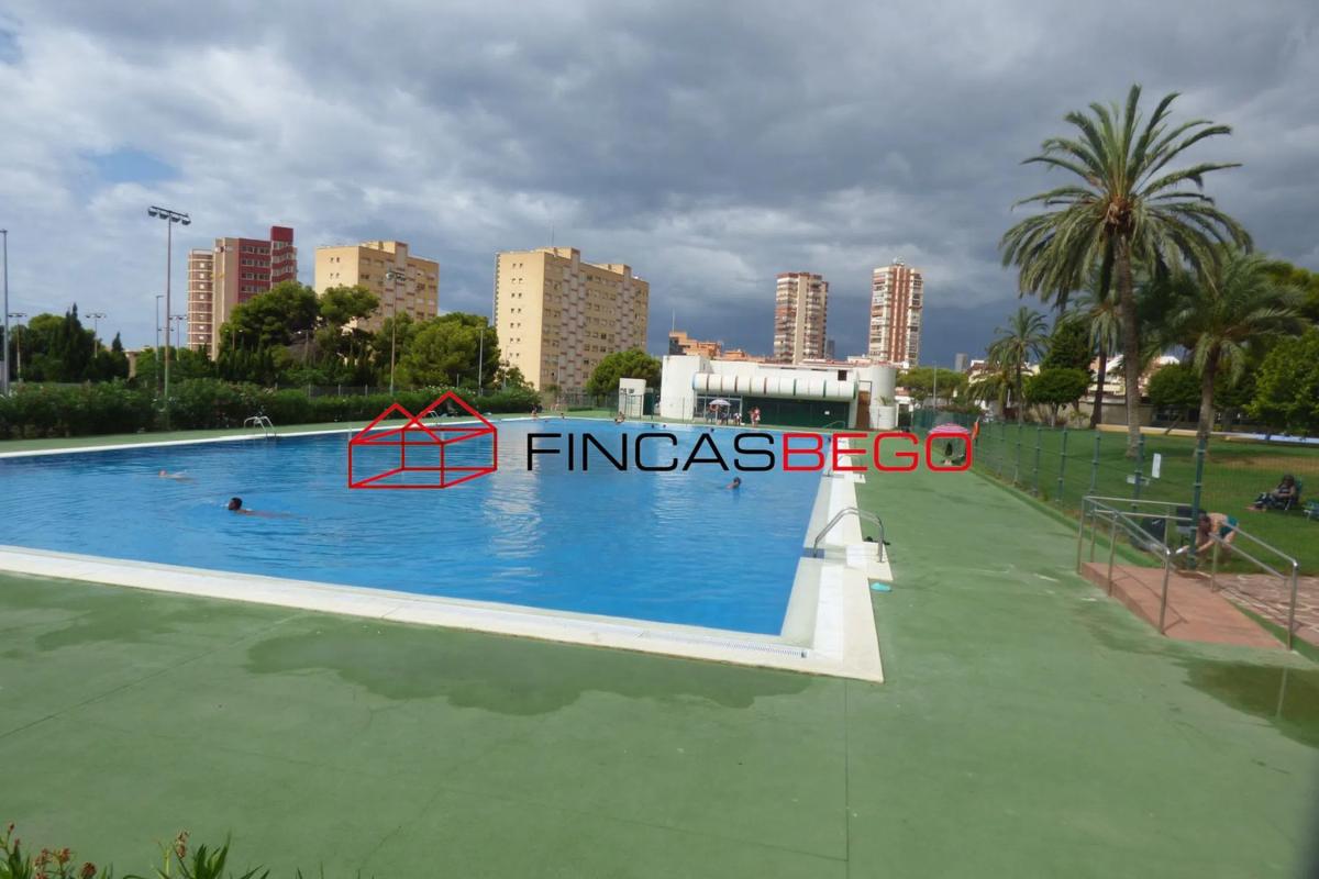 Sale of studio in Avenida de Portugal, 1, Benidorm photo 4