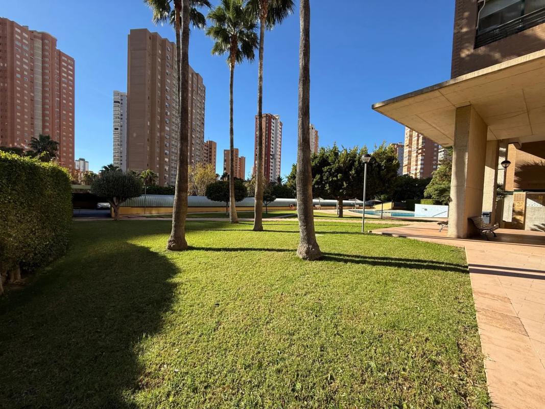 Продажа квартиры на Avenida del Municipi, Бенидорм
photo 4