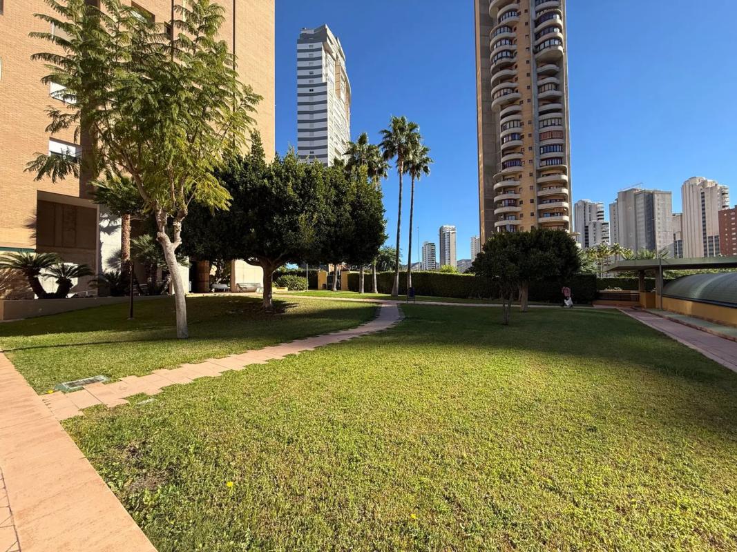 Продажа квартиры на Avenida del Municipi, Бенидорм
photo 5