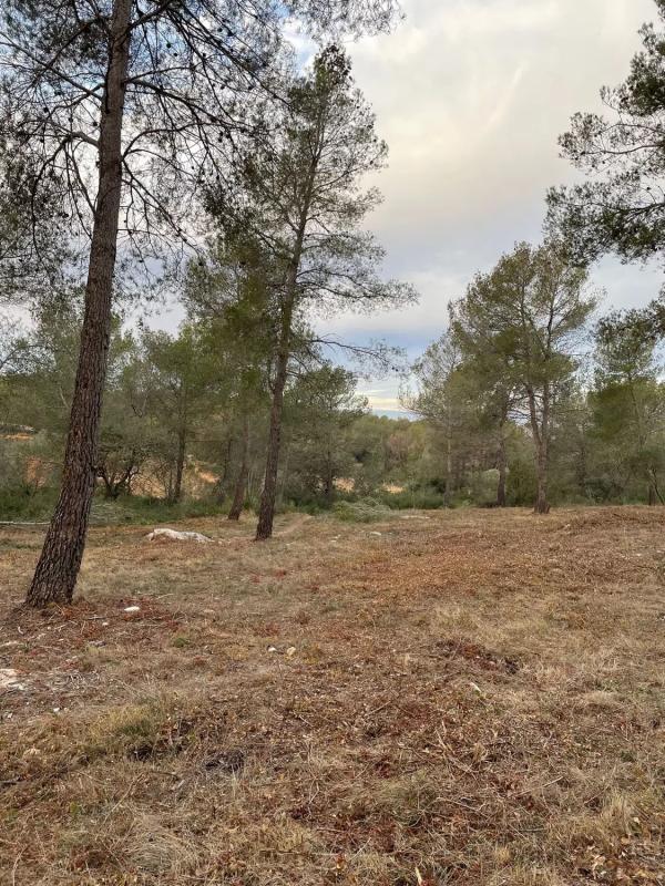 Obra nueva en les Roques 44 en Avinyonet del Penedès (Revista) photo 5