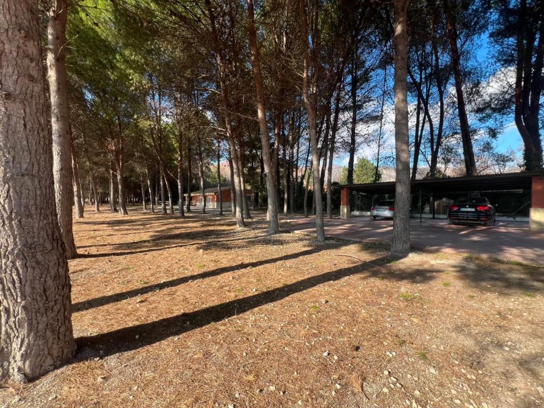 Venta de chalet independiente en Paraje Lugar Viejo, Salinas
photo 4