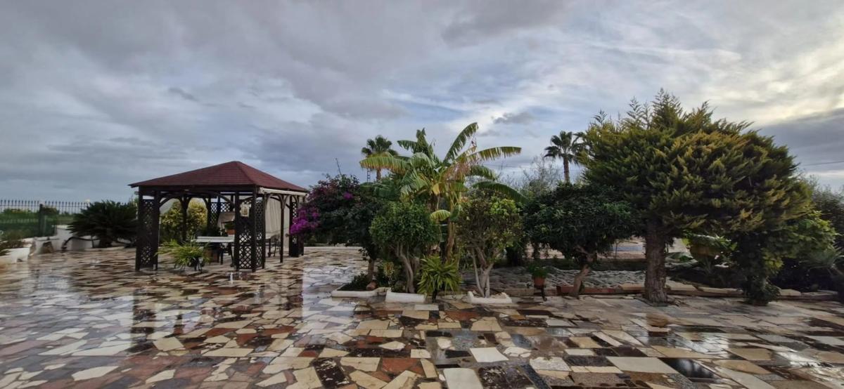 Sale of rural property in  Albatera , Albatera photo 3