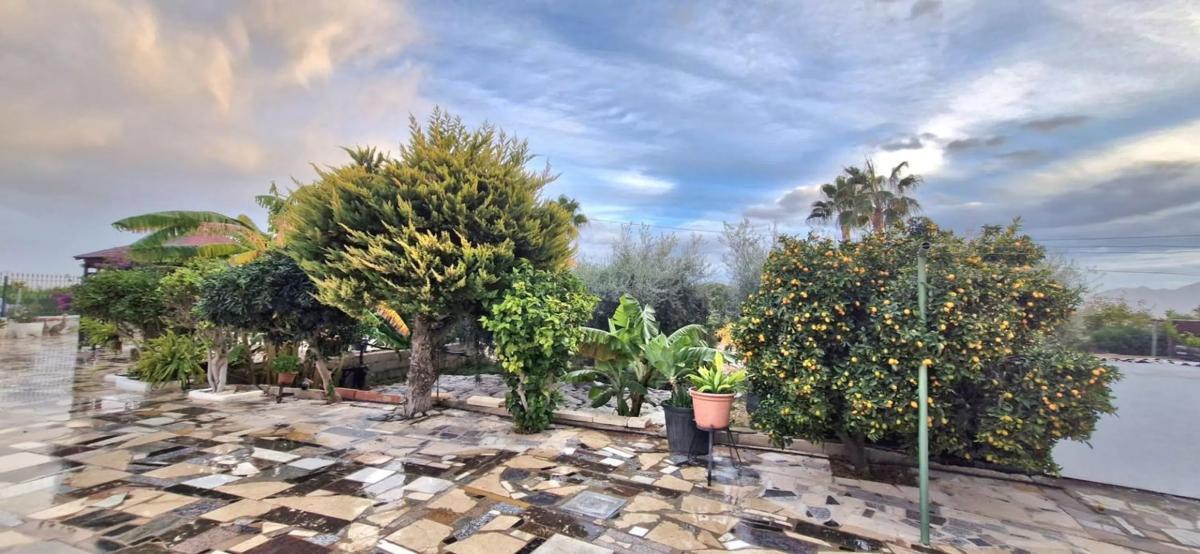 Sale of rural property in  Albatera , Albatera photo 4