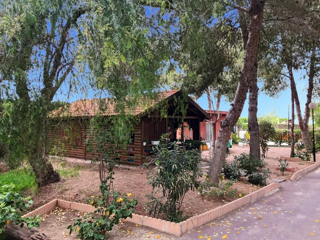 Venta de finca rústica en Dolores , Dolores photo 2
