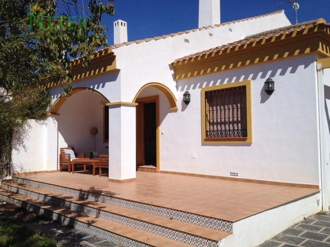 Sale of independent chalet in Avenida del Mar Menor, 119, Pilar de la Horadada
photo 4