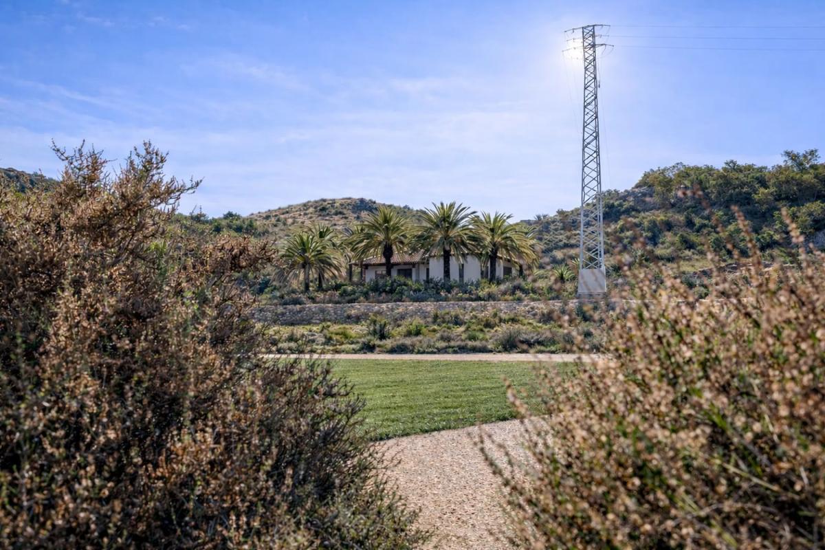 Sale of rural property in Camino Viejo de Saladas, 2 , Alicante photo 4