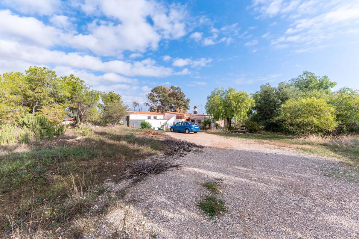Sale of independent chalet in Avenida dels Esquivadors, Alicante
 photo 4