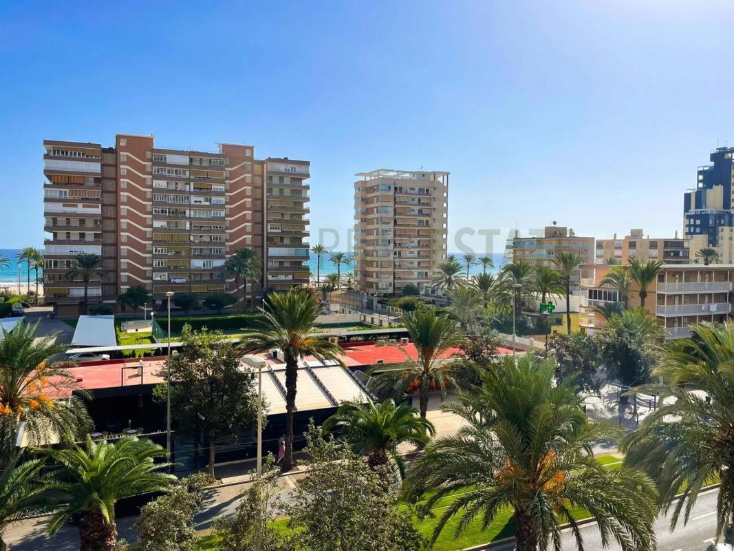 Sale of apartment in Avenida de la Costa Blanca, Alicante
photo 5