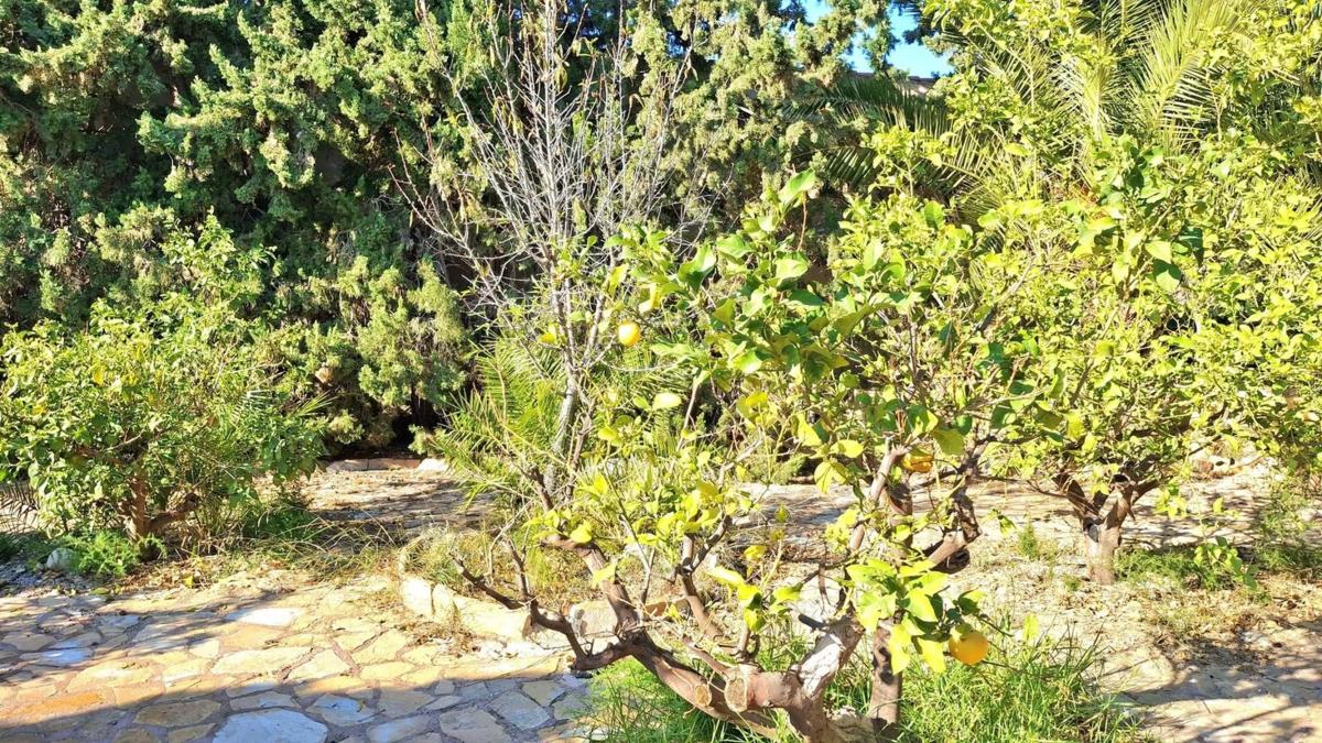 Venta de chalet independiente en Almajada-Ravel, Mutxamel
photo 3