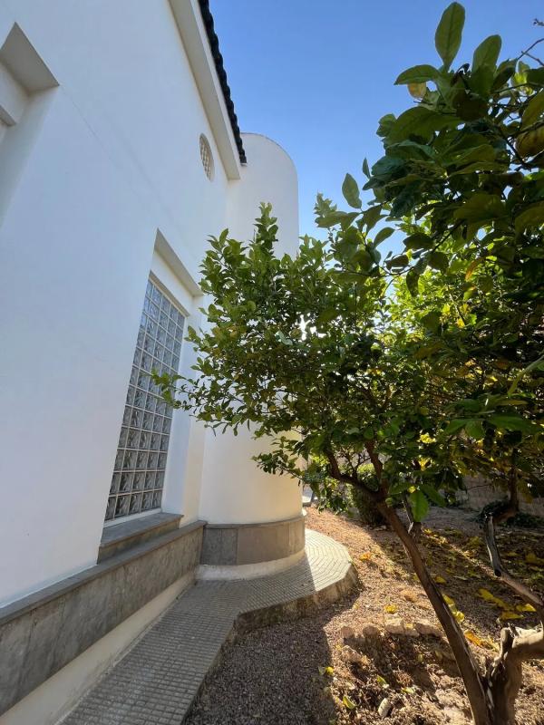 Venta de chalet independiente en Calle del PÍ, Mutxamel
photo 2