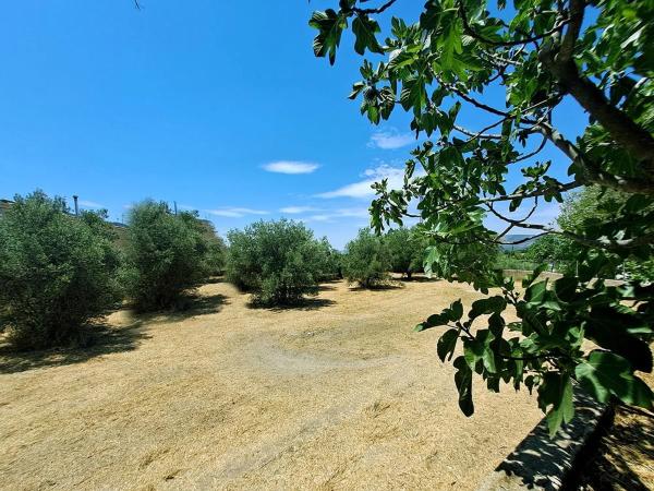 Finca rústica en venta en DISEMINADOS s/n , Banyeres de Mariola thumbnail 2