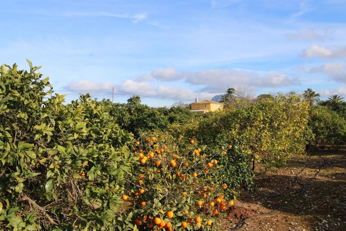 Venta de chalet independiente en Ondara, Ondara
 photo 4