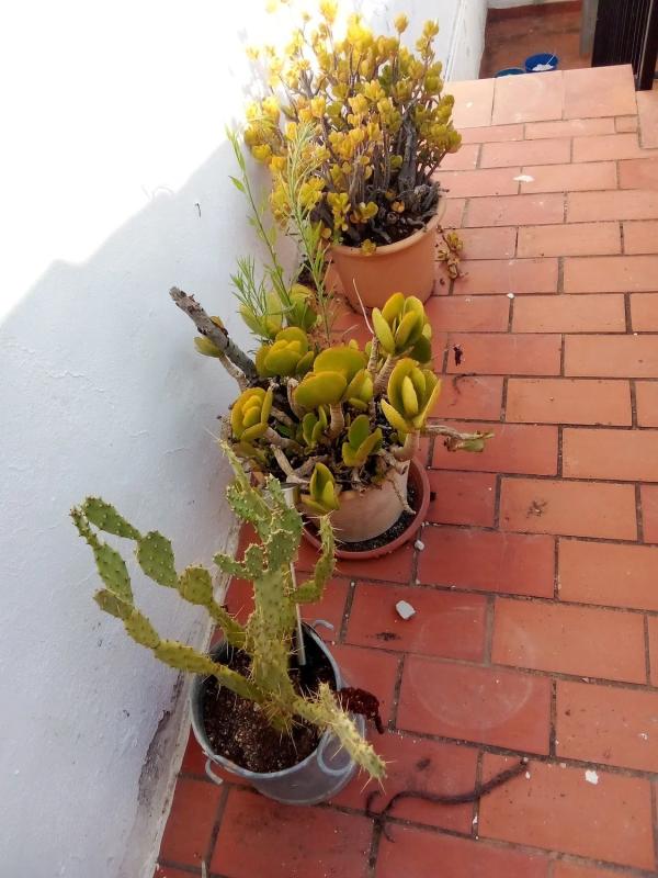 Propiedades en venta y alquiler en España photo 5