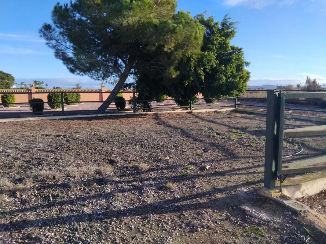Venta de chalet independiente en Vereda el Maltés, 110, Dolores
 photo 5