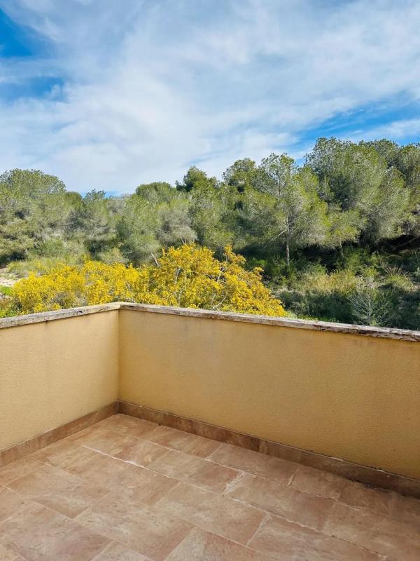 Sale of independent chalet in Calle Mimosa, Pilar de la Horadada
photo 5