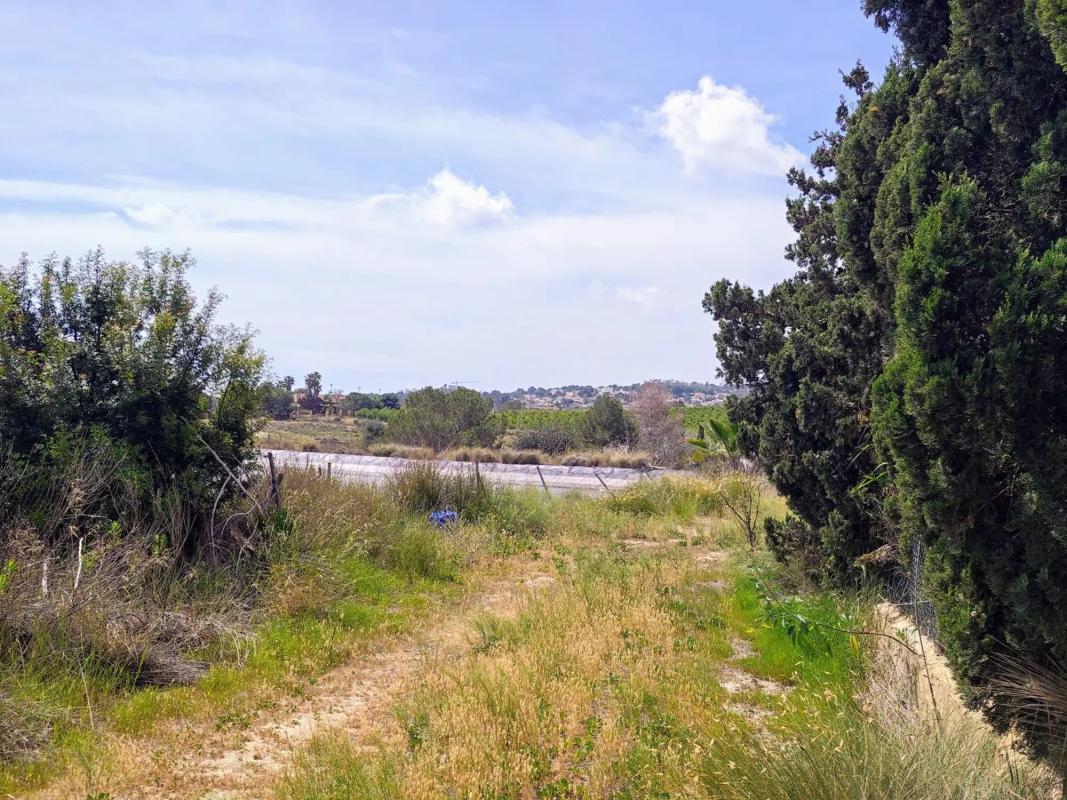 Properties for sale and rent in Spain photo 2
