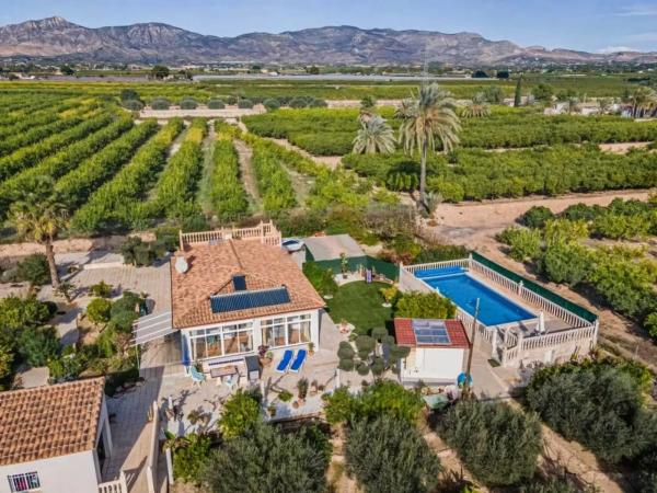 Finca rústica en venta en Partida Barranc de Sant Gaieta , Crevillente photo 1