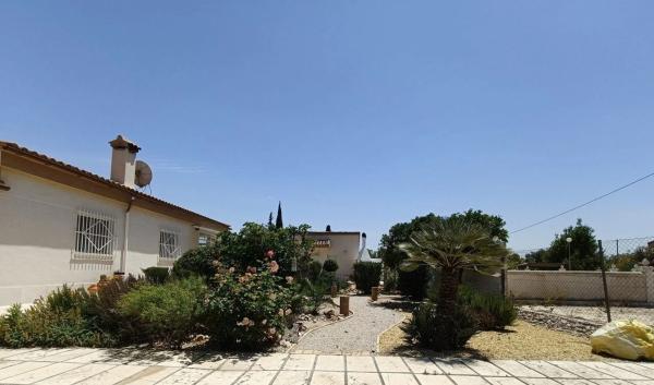 Finca rústica en venta en  Partida Barranc de Sant Gaieta , Crevillente photo 4